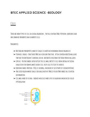 Chromatography Methods for BTEC applied science - Assignment 2C ...