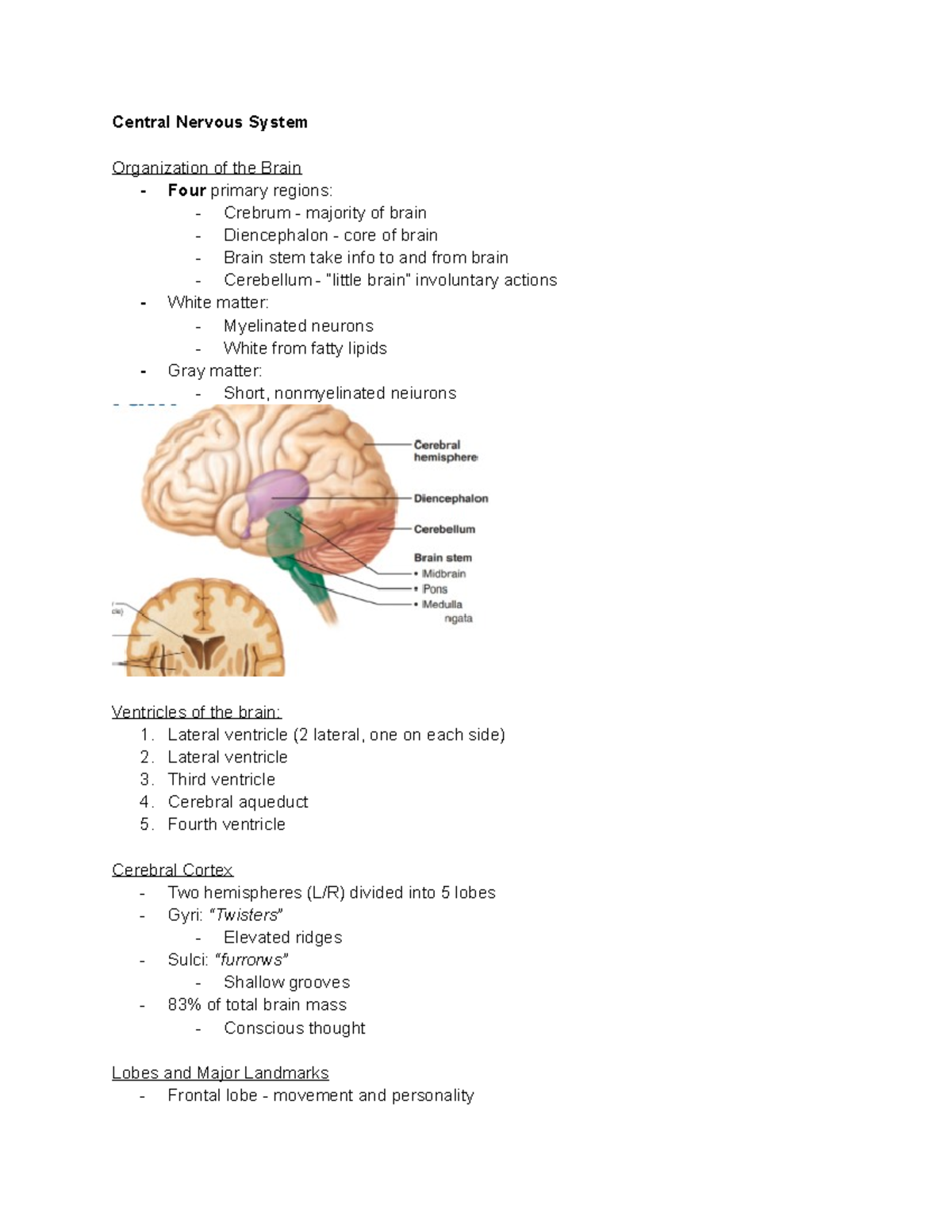 Central Nervous System - Central Nervous System Organization of the ...