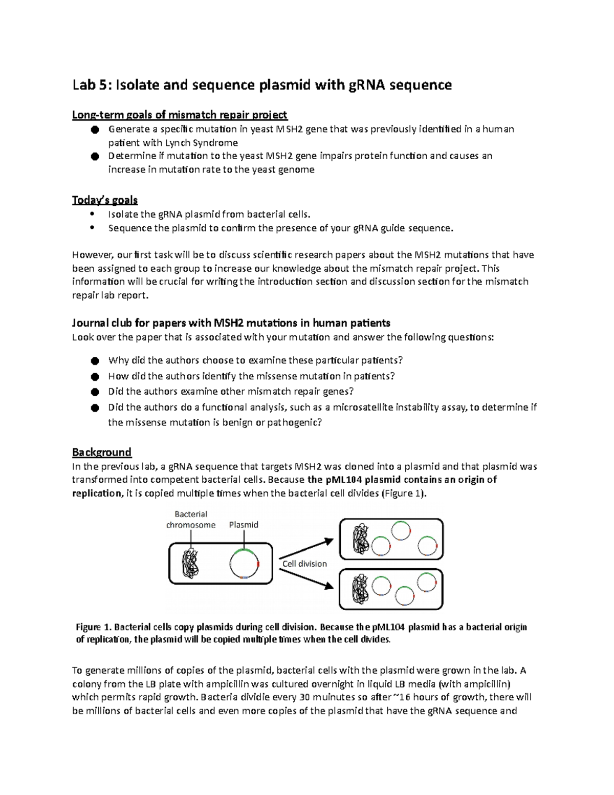 Lab 5. Isolate and sequence g RNA plasmid Lab 5 Isolate and sequence