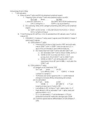 Immunology Exam 4 Study Guide - Immunology Exam 4 Study Guide T Cell ...
