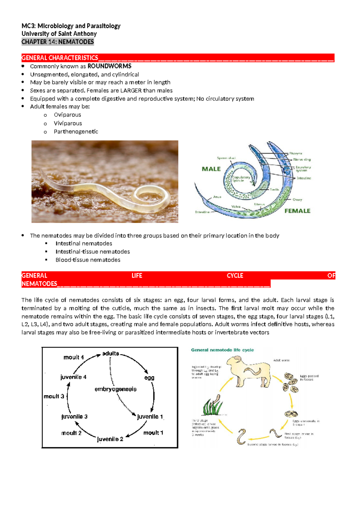 Chapter 15 - Nematodes - MC3: Microbiology And Parasitology University ...