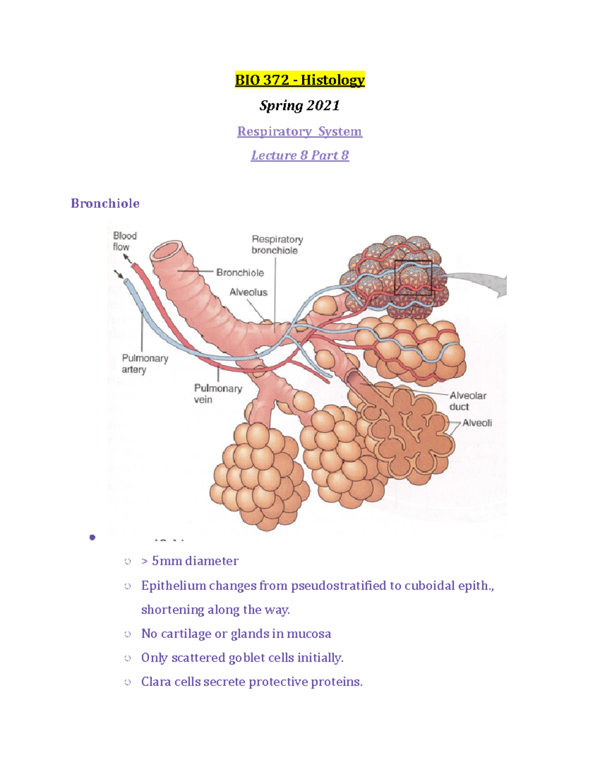 BIO 372 Lecture 8 Part 8 - Spring 2021 - BIO 372 - Histology Spring ...