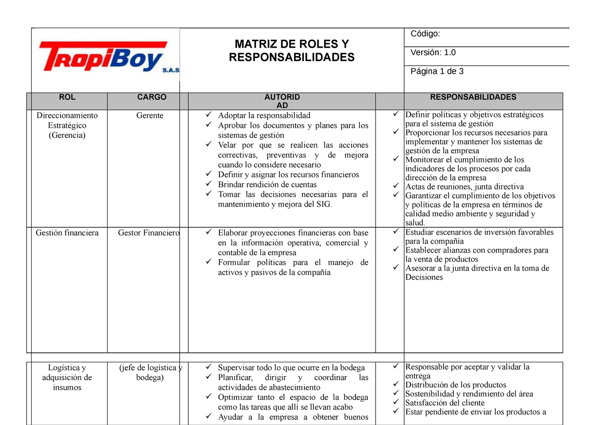 matriz de roles y responsabilidades