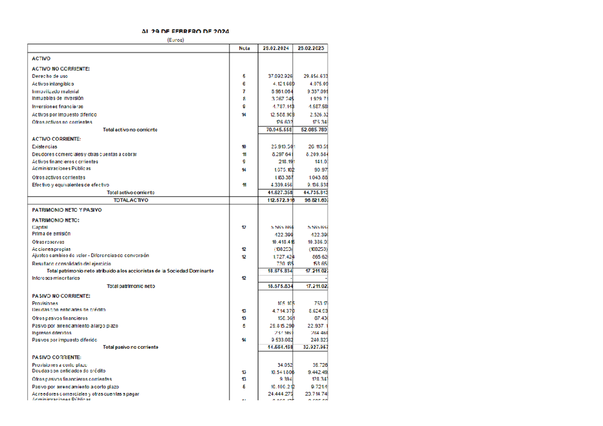 Cuentas anuales adolfo dominguez - Análisis de Estados Financieros ...