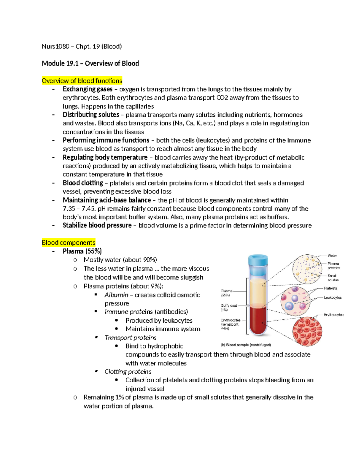 Chpt - Detailed notes for chapter 29 blood - Nurs1080 – Chpt. 19 (Blood ...