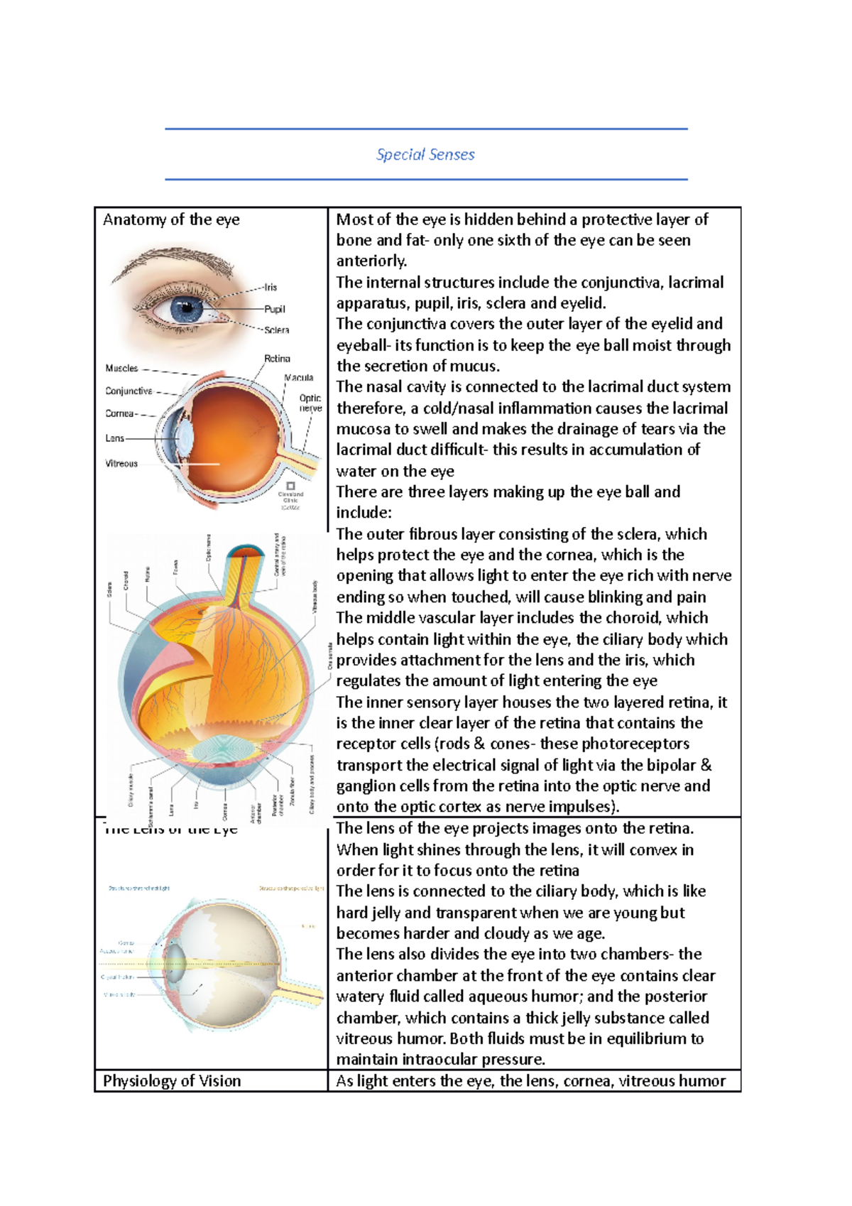 Special Senses Anatomy and Physiology - Special Senses Anatomy of the ...