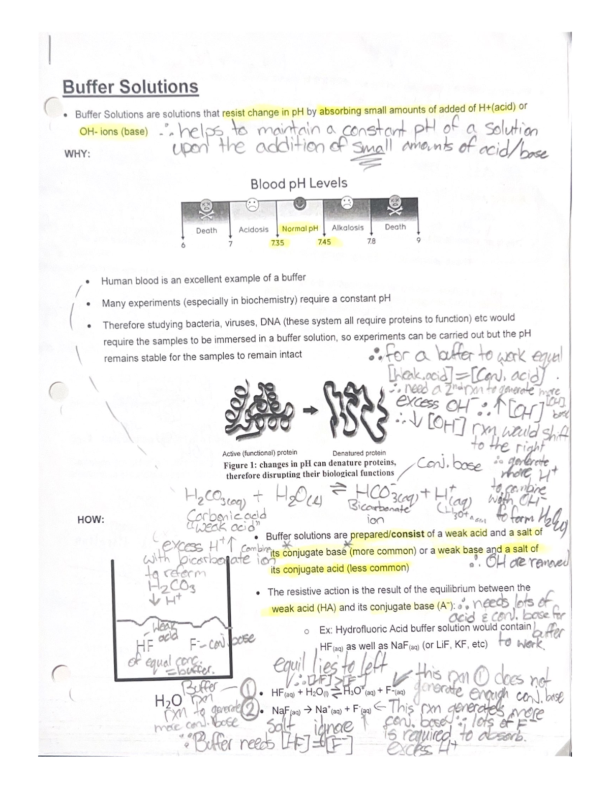 Grade 12 Chemistry Buffer Solutions Studocu