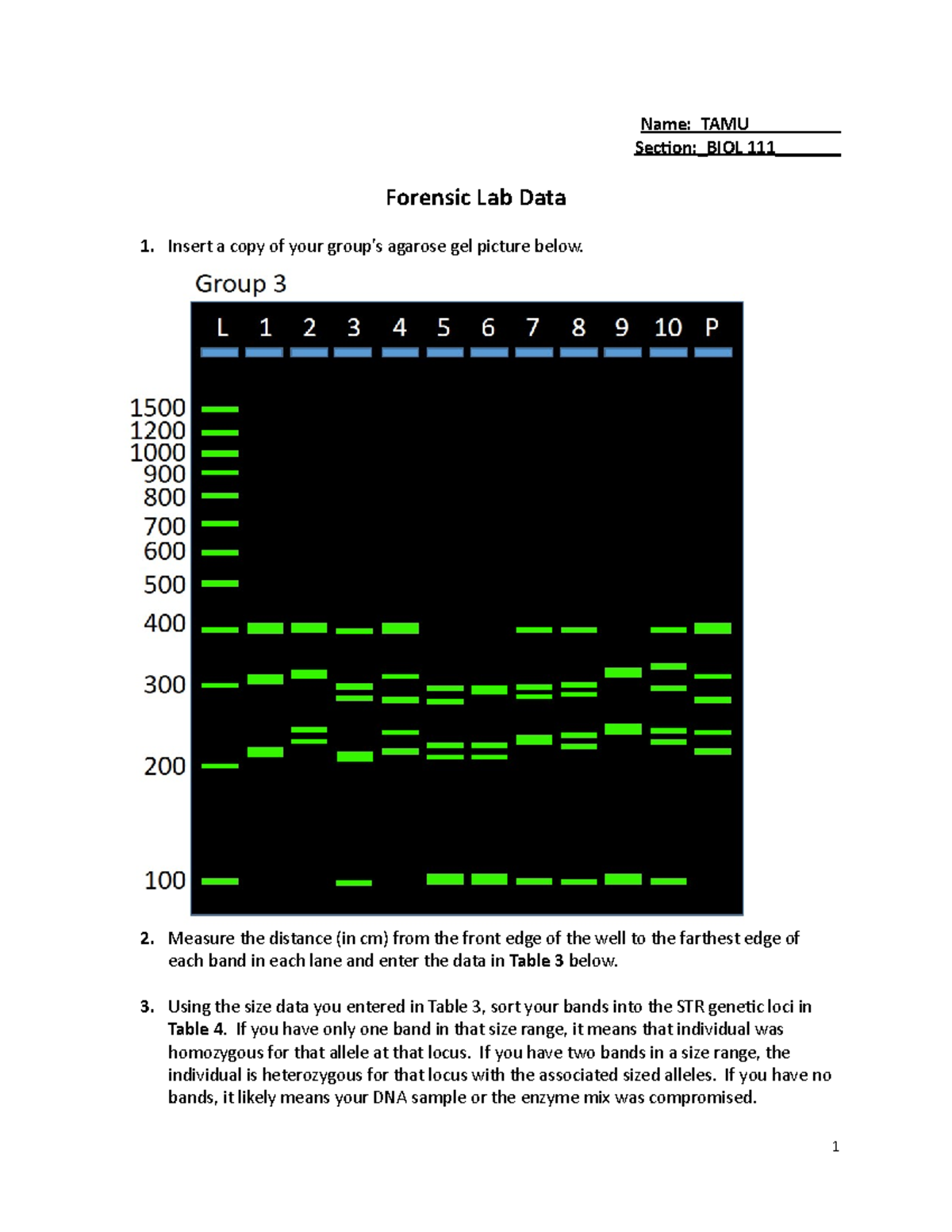 Forensic Biology II Lab NameTAMU ___ Section BIOL 111_____ Forensic
