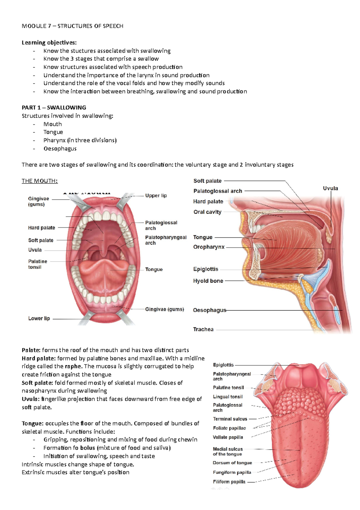 Module 7 structures of speech - MODULE 7 – STRUCTURES OF SPEECH ...