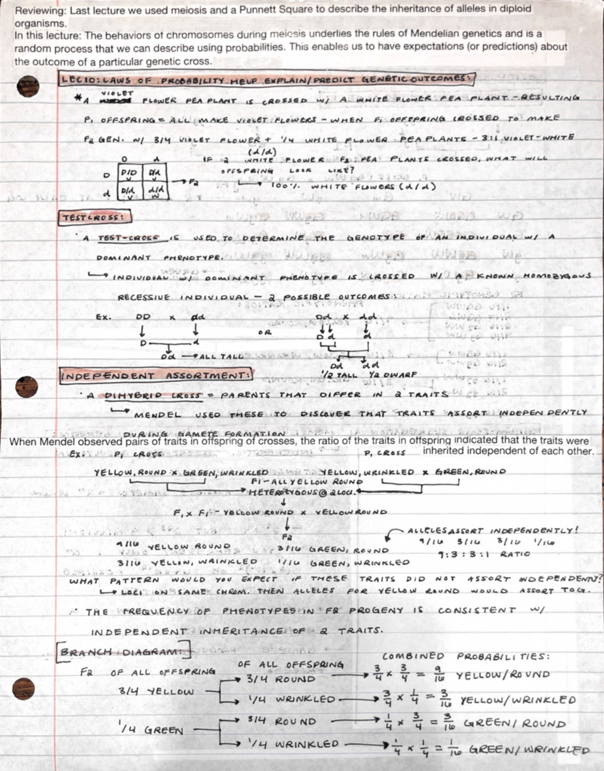 UNL BIOS 206- Lecture 10 Notes - Reviewing: Last lecture we used ...