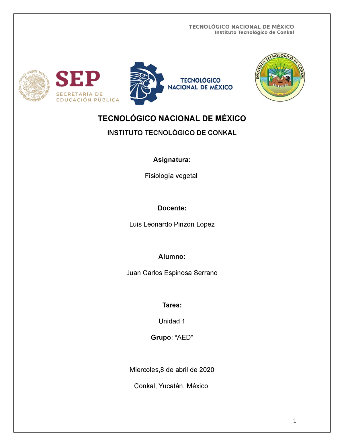 Unidad 1 - TECNOLÓGICO NACIONAL DE MÉXICO INSTITUTO TECNOLÓGICO DE ...