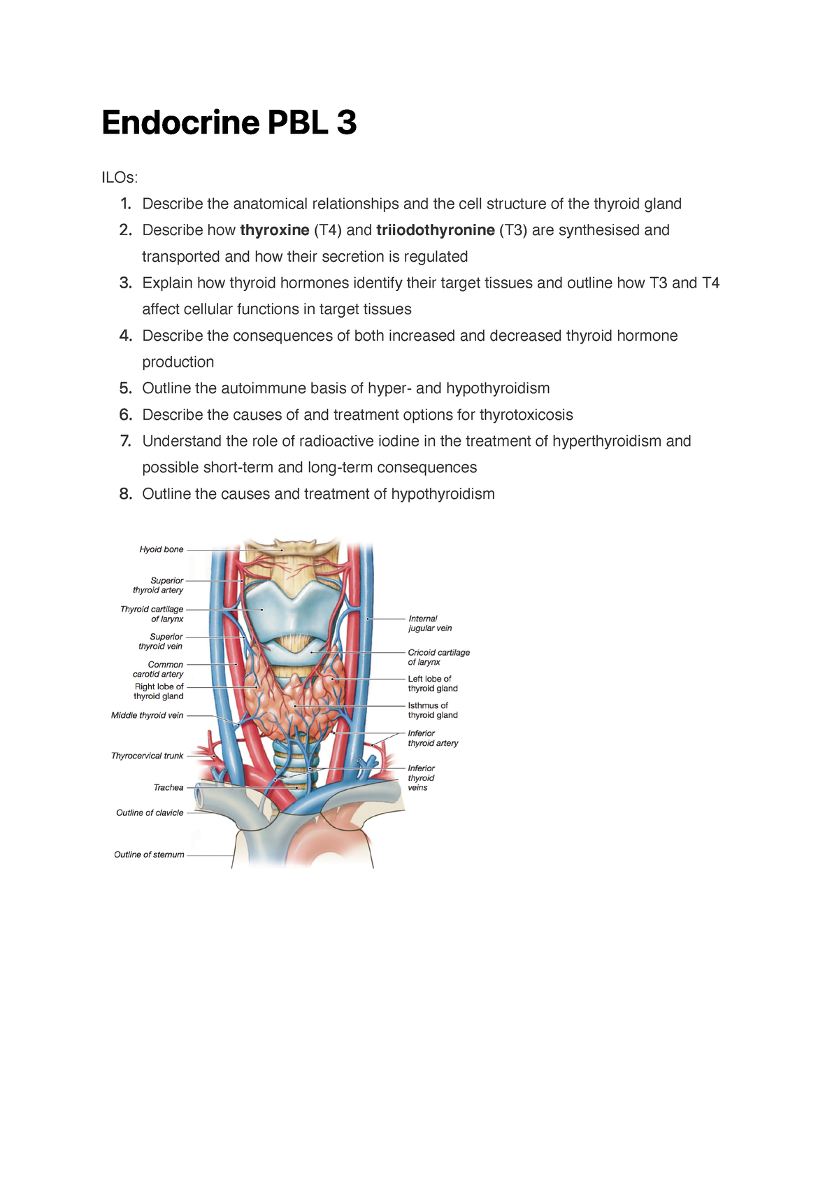 200 word essay on how endocrine glands