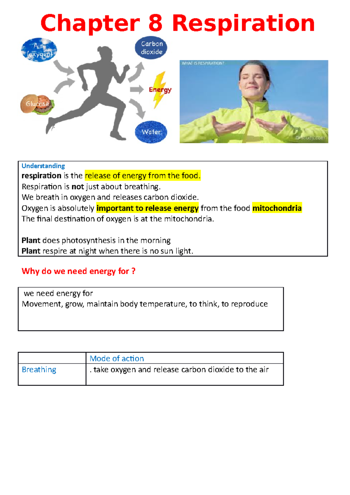 8 respiration teacher - notes - Chapter 8 Respiration Understanding ...