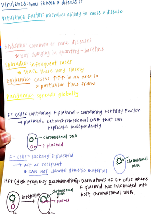 Micro UNIT 3 - notes - UNIT 3 Class 13 Mutations- permanent changes in ...