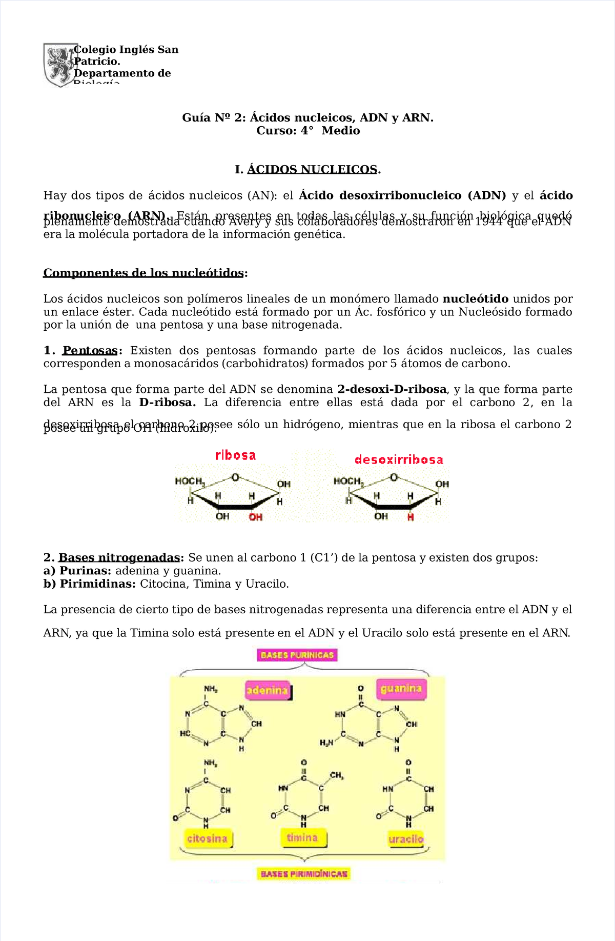 Dlscrib - Apuntes Sobre Los ácidos Nucleicos - Guía Nº 2: Ácidos ...