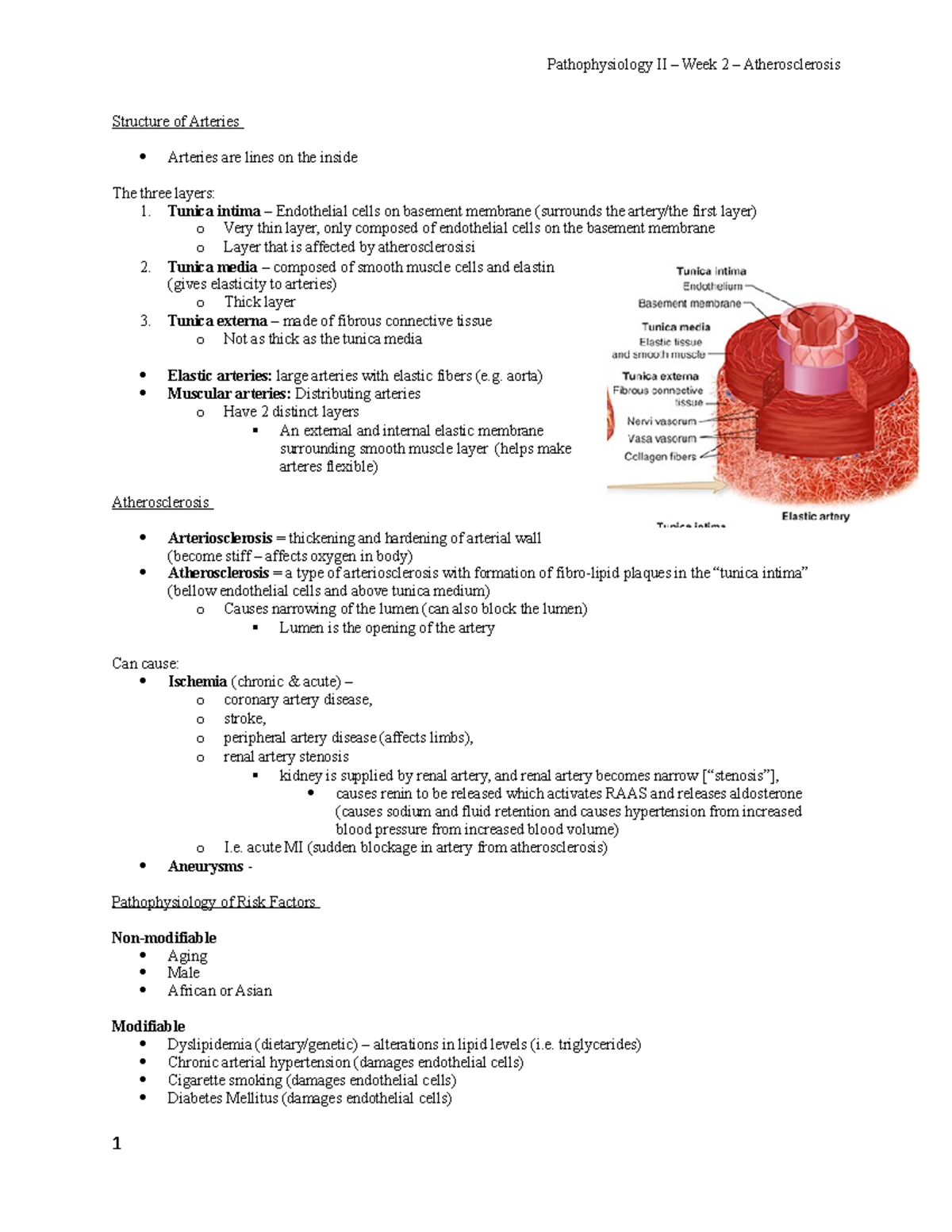 W2L1 - Atherosclerosis - Pathophysiology II – Week 2 – Atherosclerosis ...