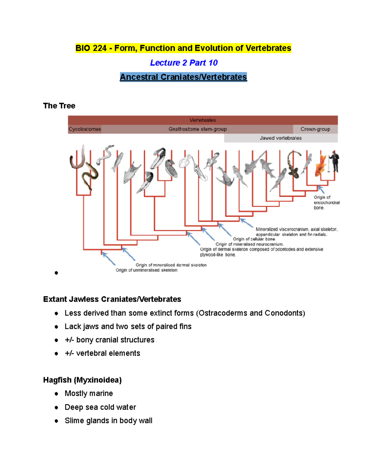 BIO 224 Lecture 2 Part 10 - Winter 2019 - BIO 224 - Form, Function and ...