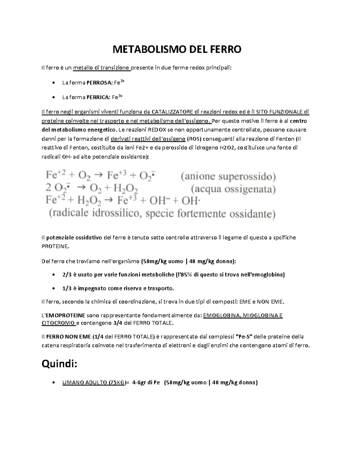 Metabolismo Del Ferro-convertito - Warning: TT: Undefined Function: 32 ...