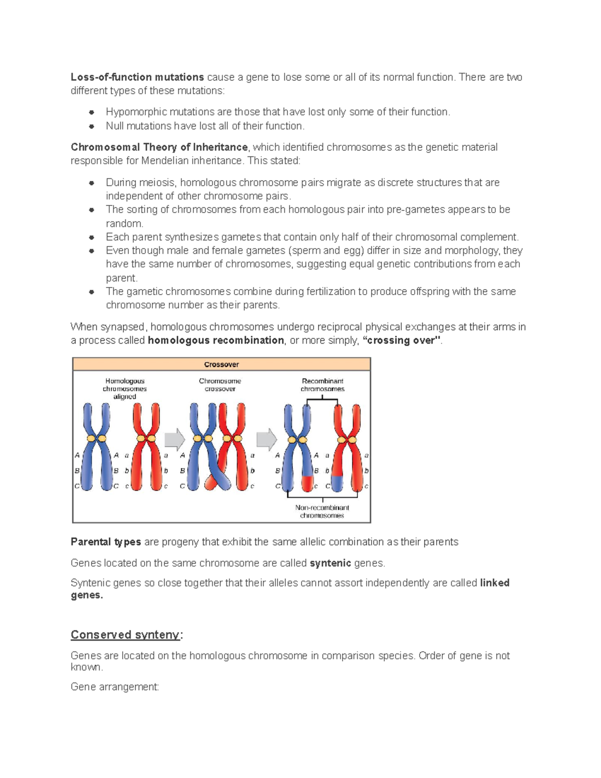 Genetics Unit 2 Noes Unit 2 Notes Loss Of Function Mutations Cause