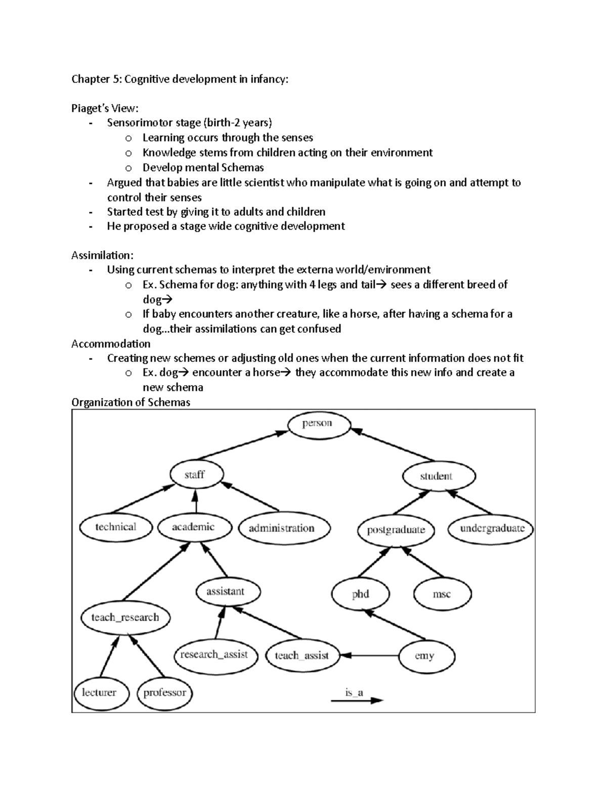 Chapter 5 Cognitive Development In Infancy Chapter 5 Cognitive Chapter 5 Cognitive Development In Infancy Chapter 5 Cognitive