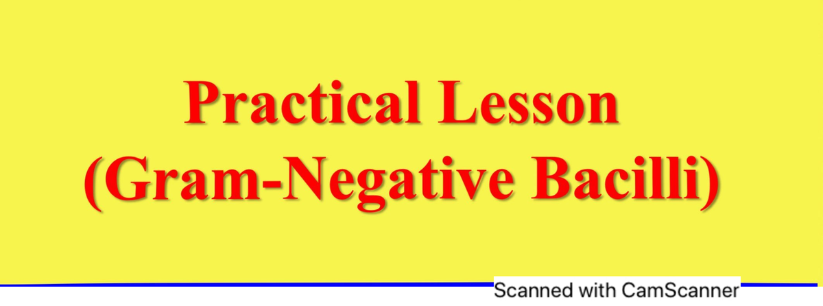 gram-negative-bacilli-were-seen-in-the-gram-stain-with-bipolar-staining