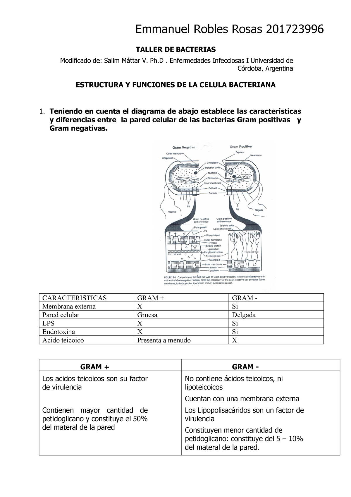 Taller De Bacterias Estructura Y Funcion Bacteriana Emmanuel RR ...