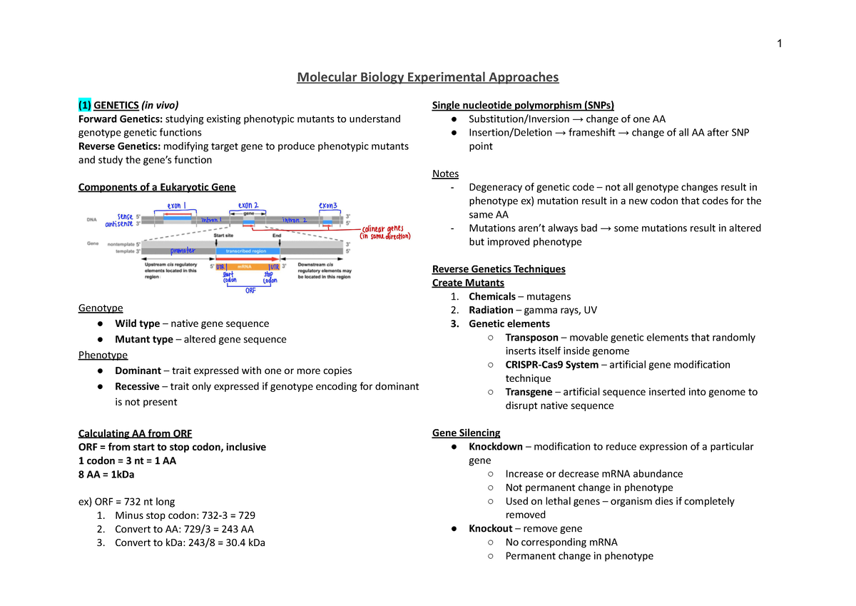 molecular biology experimental techniques