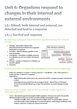 Edexcel visual data 7