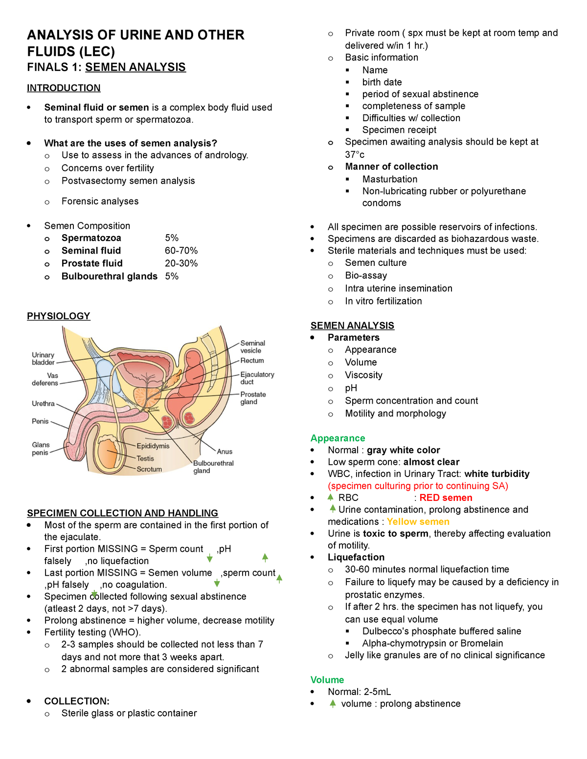 Analysis OF Urine AND Other Fluids (LEC) Finals 1 - ANALYSIS OF URINE ...