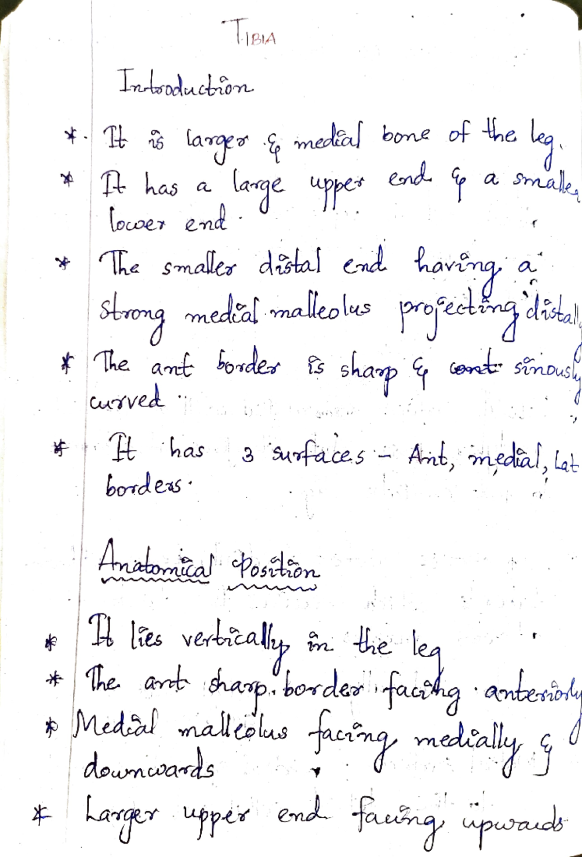 Tibia - Features of bone - BA isduetion lara laoe , medal bone of he ...