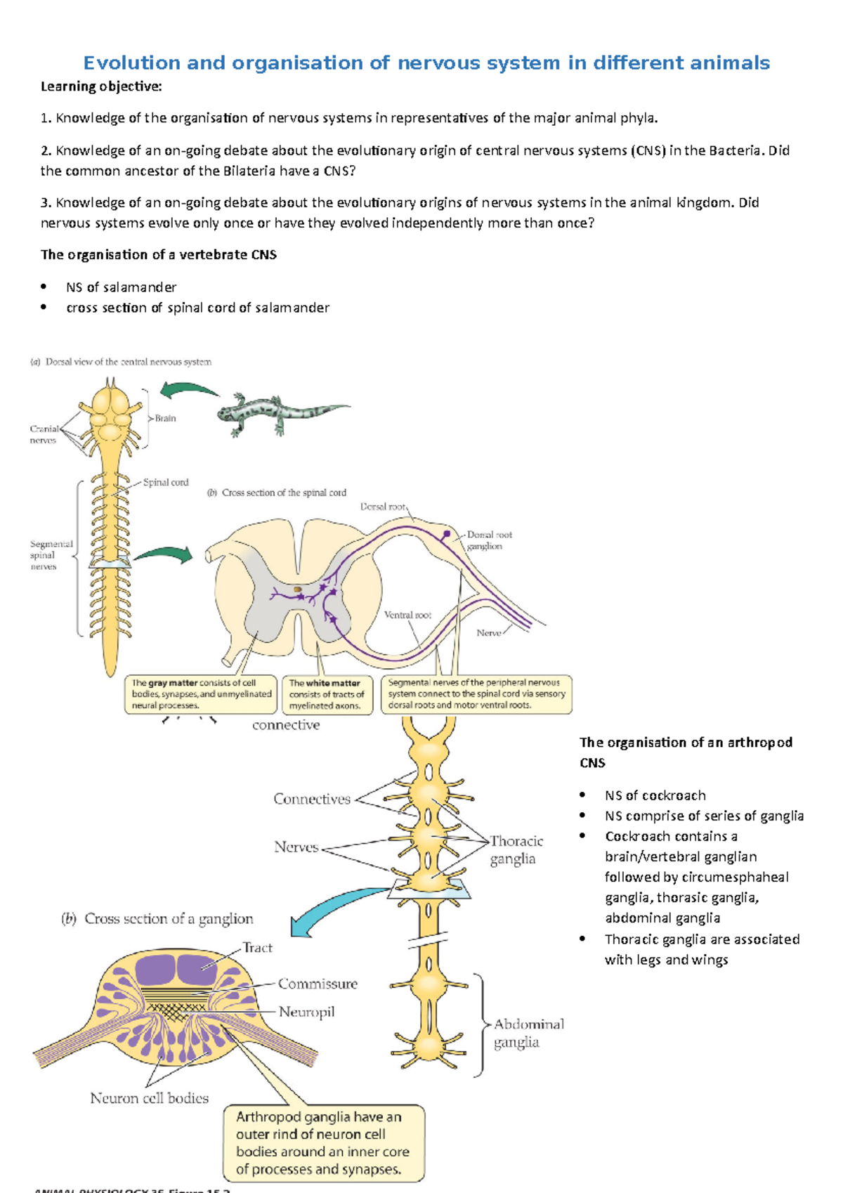 3. Lecture 2 Notes - Evolution and organisation of nervous system in ...