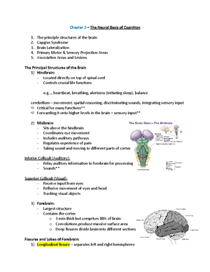 Textbook Notes Chapter 2 The Neural Basis for Cognition - Textbook ...