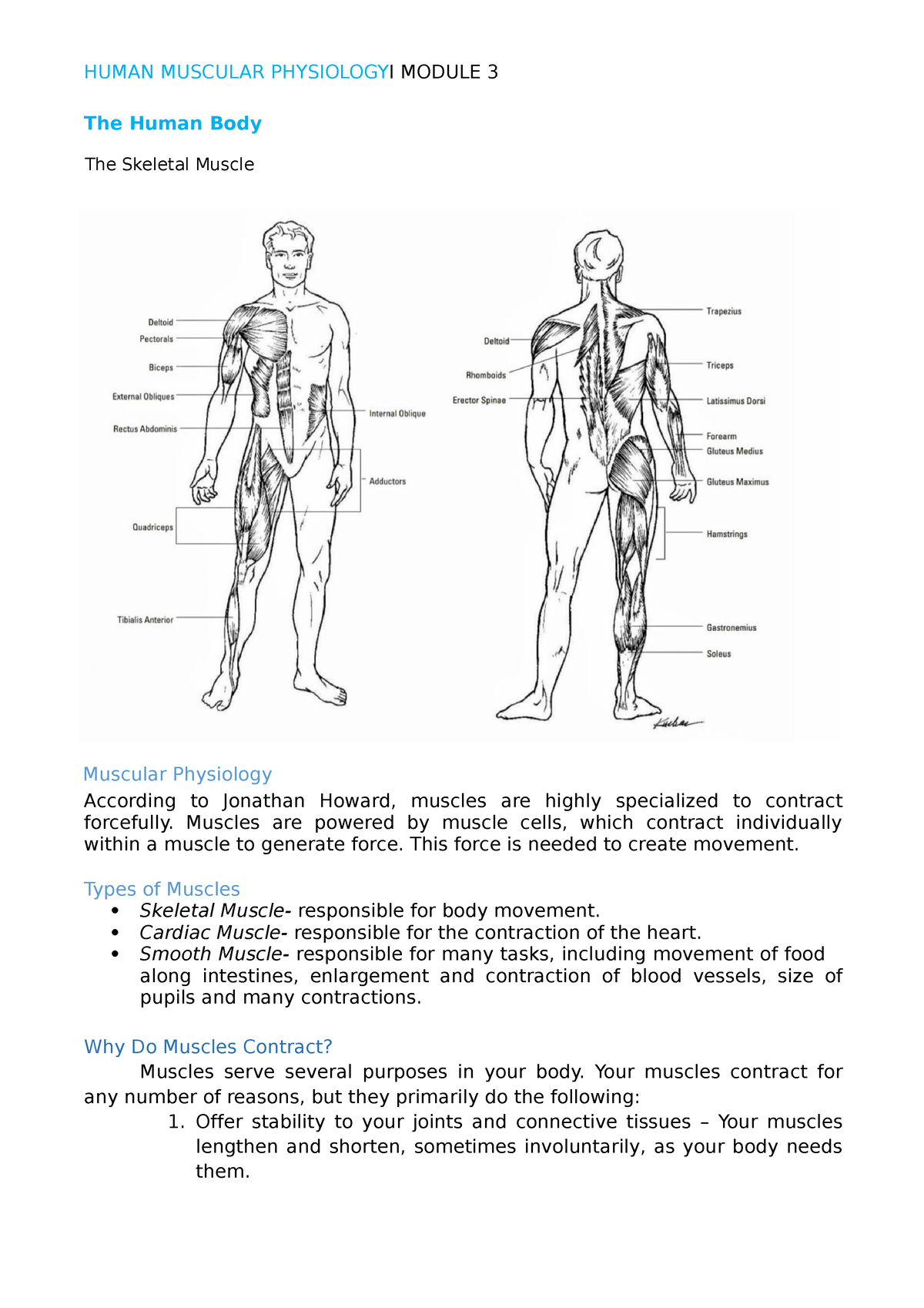 Pathfit-1Module-3 - Pathfit-1 - The Skeletal Muscle The Human Body ...