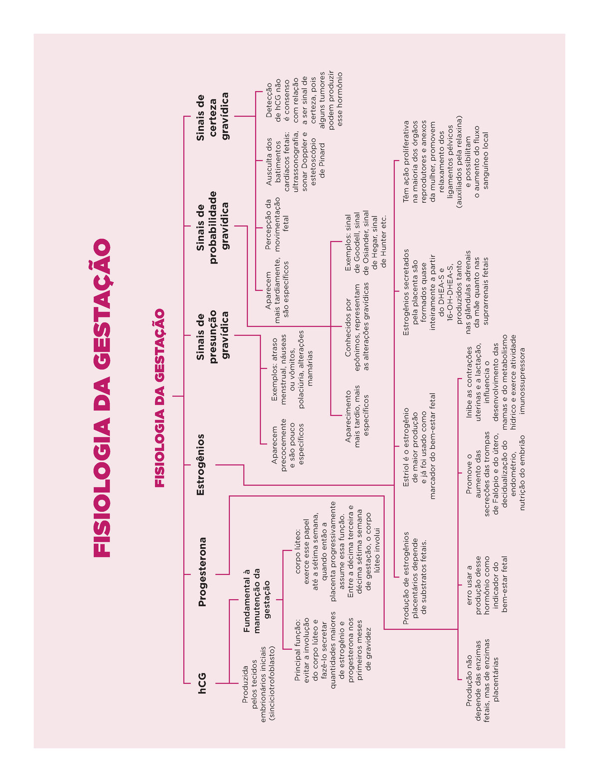 sinais de certeza : gravidez - Mapa Mental