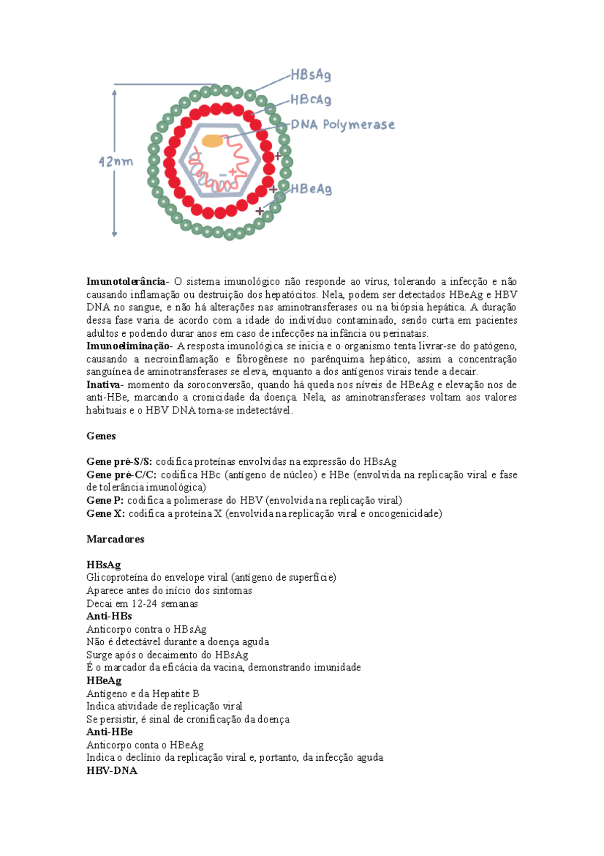 Resumo Hepatite B - ESTRUTURA DO VÍRUS, MARCADORES - Imunotolerância- O ...