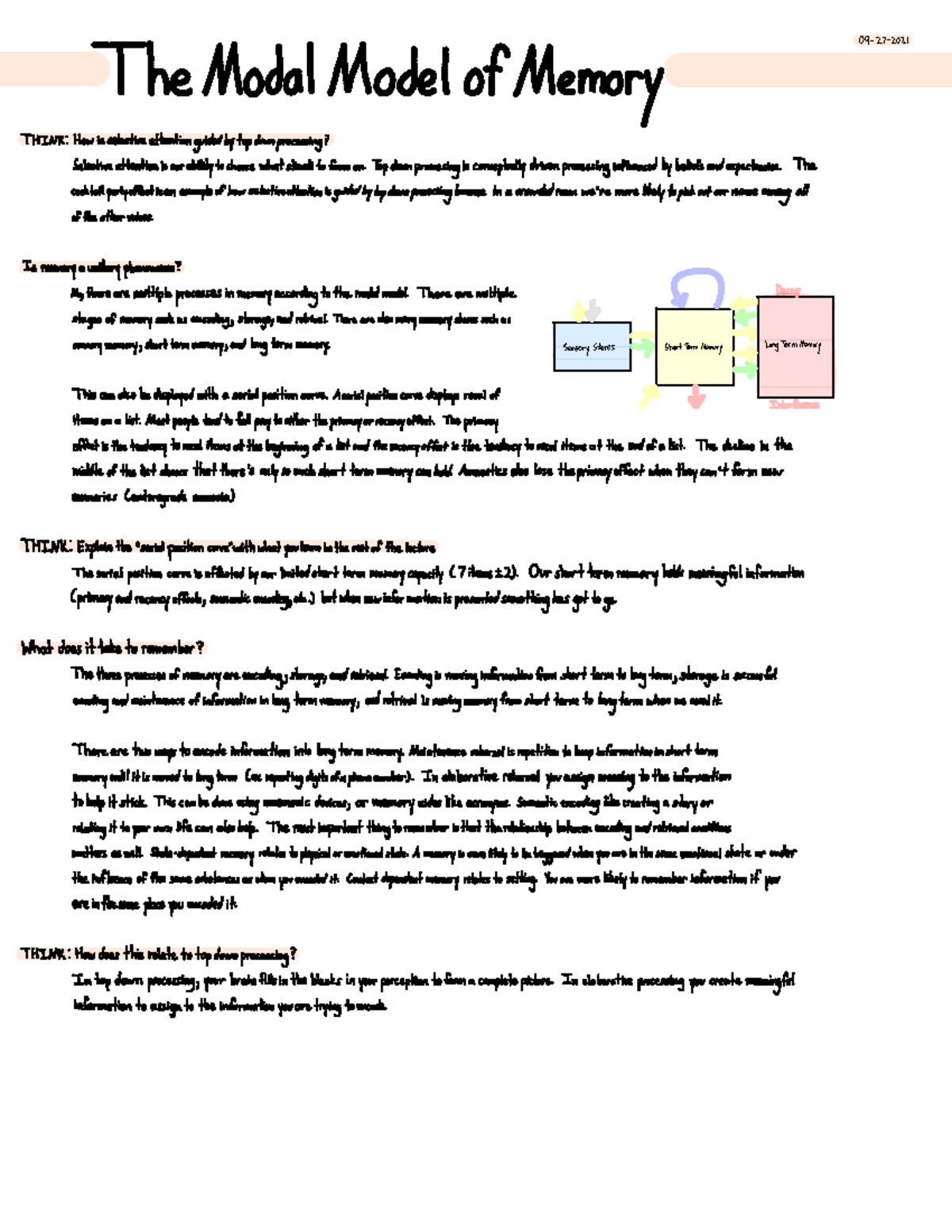 The Modal Model of Memory - 09-27- The Modal Model of Memory THINK ...