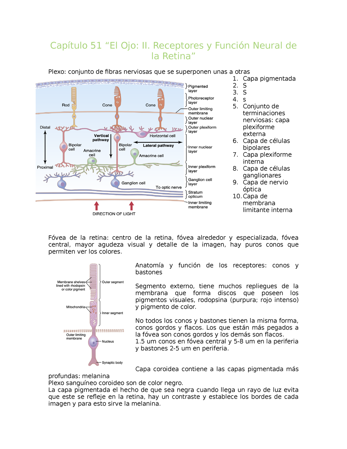 Cap Tulo Fisio Guyton Cap Tulo El Ojo Ii Receptores Y Funci N Neural De La Retina