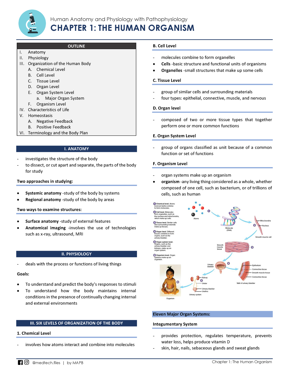 1 - Anatomy And Physiology - 1 - Human Anatomy And Physiology With ...