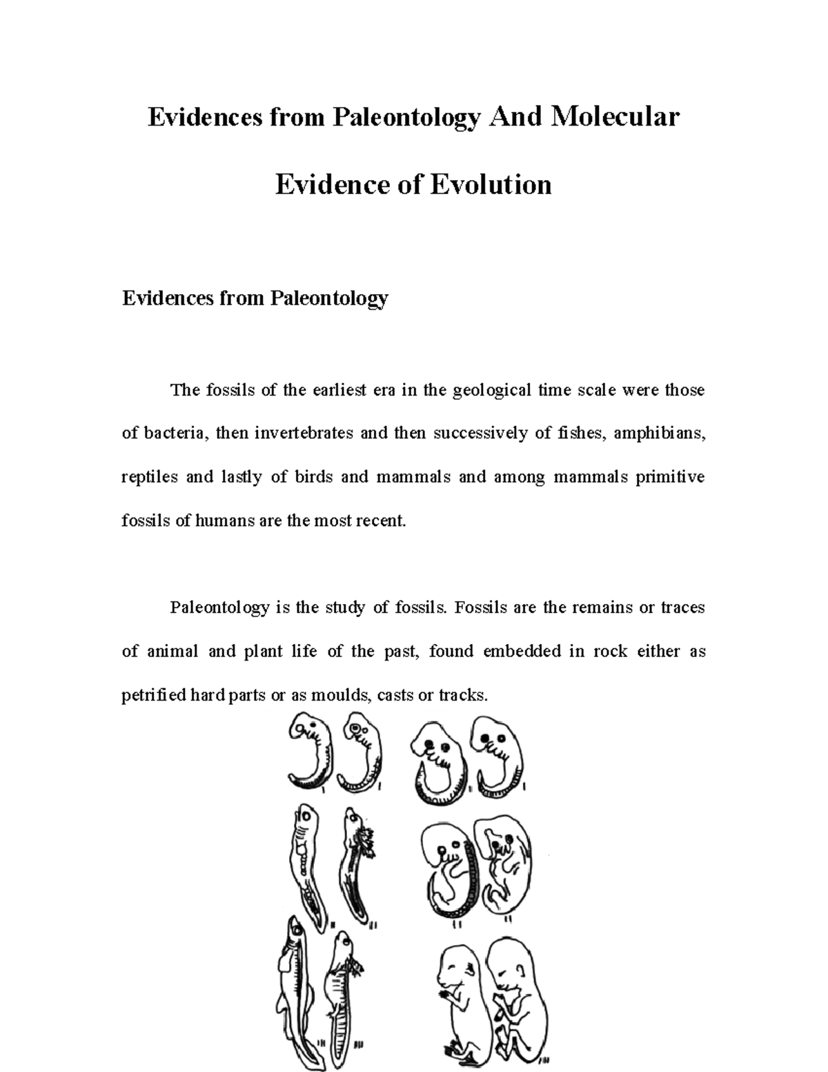Evidences from Paleontology And Molecular Evidence Paleontology is