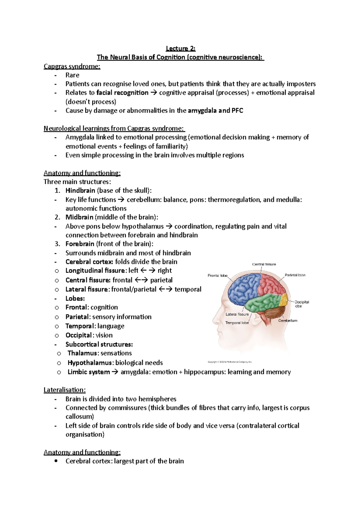 Lecture 2 - Lecture 2: The Neural Basis of Cognition (cognitive ...