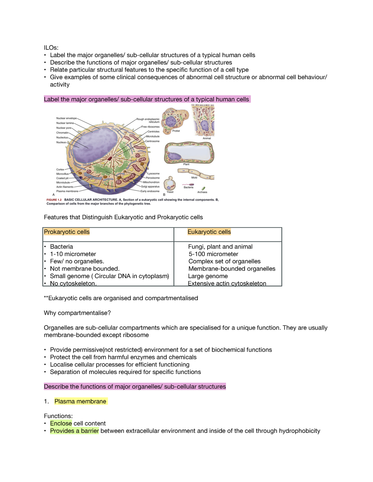 1 Cells and Organelles - ILOs: Label the major organelles/ sub-cellular ...