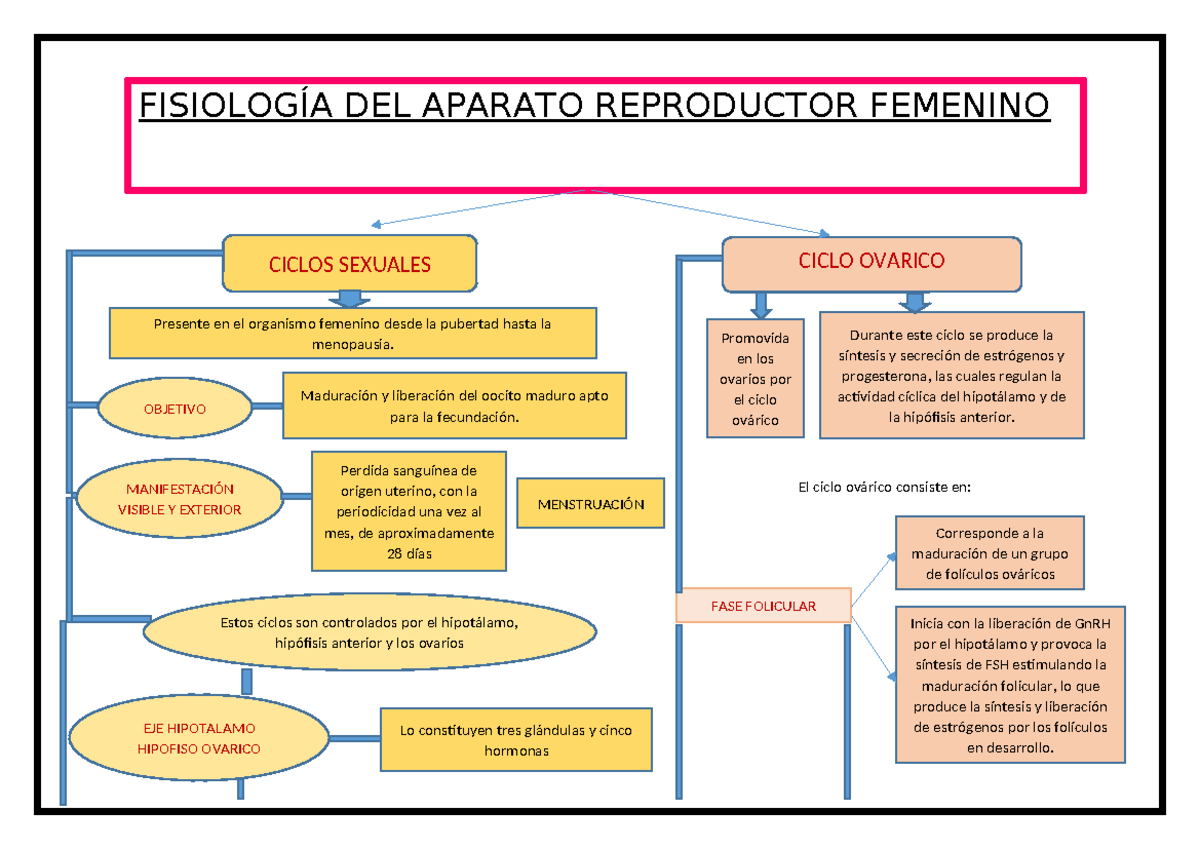 Fisiologia DEL AP. Reproductor Femenino Univ. Cinthia Cahuiña Aragon