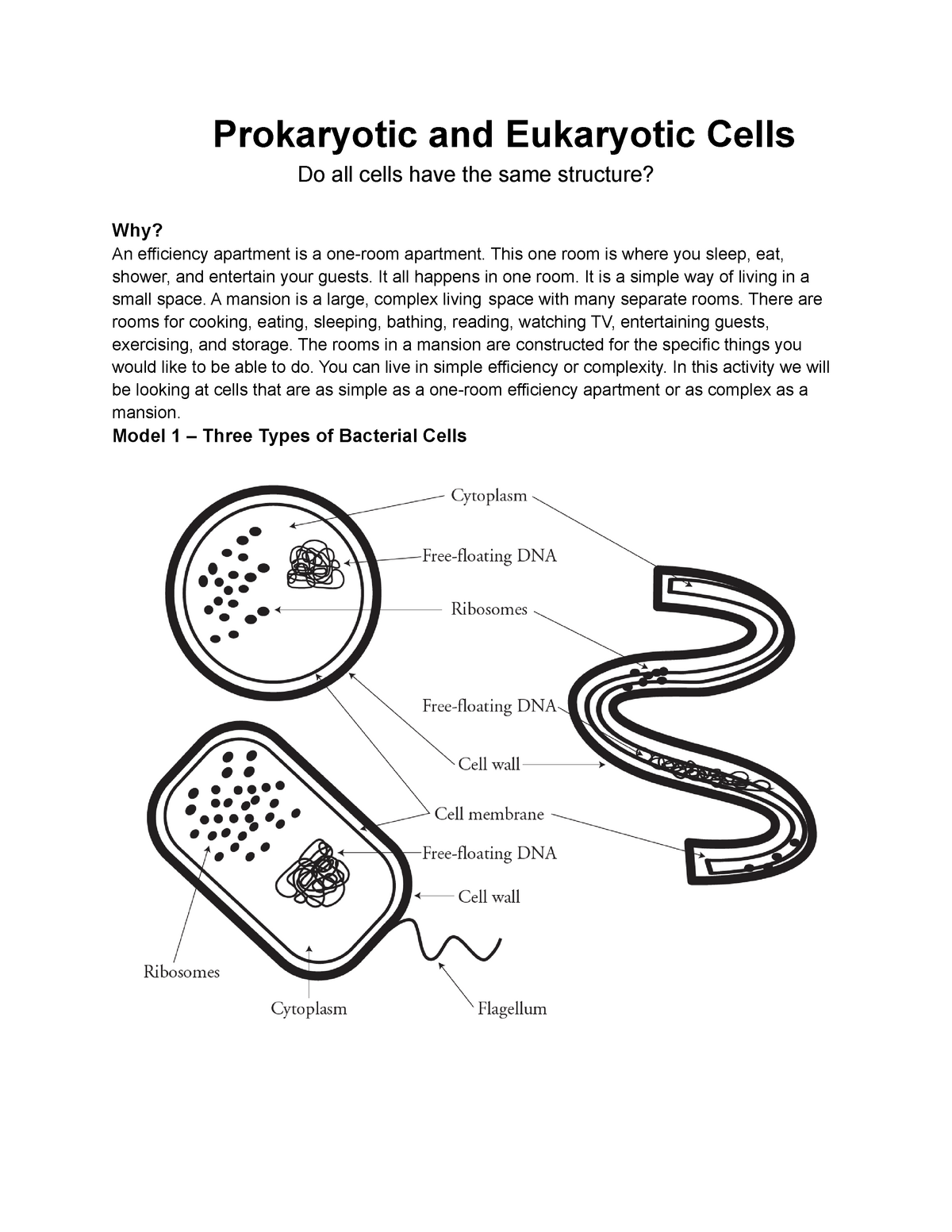 George Lee Prokaryotic and Eukaryotic Cells - BIO 20 - Biological In Prokaryotes Vs Eukaryotes Worksheet