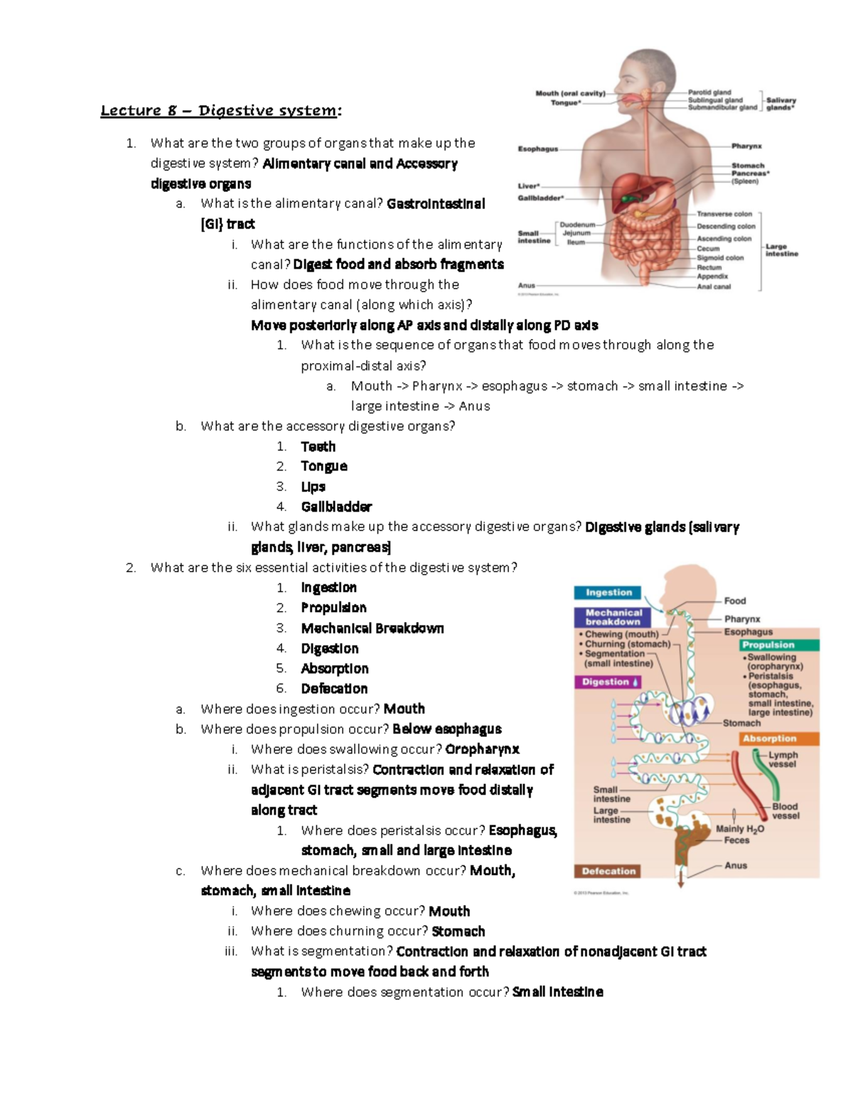 Digestion Aryion 17