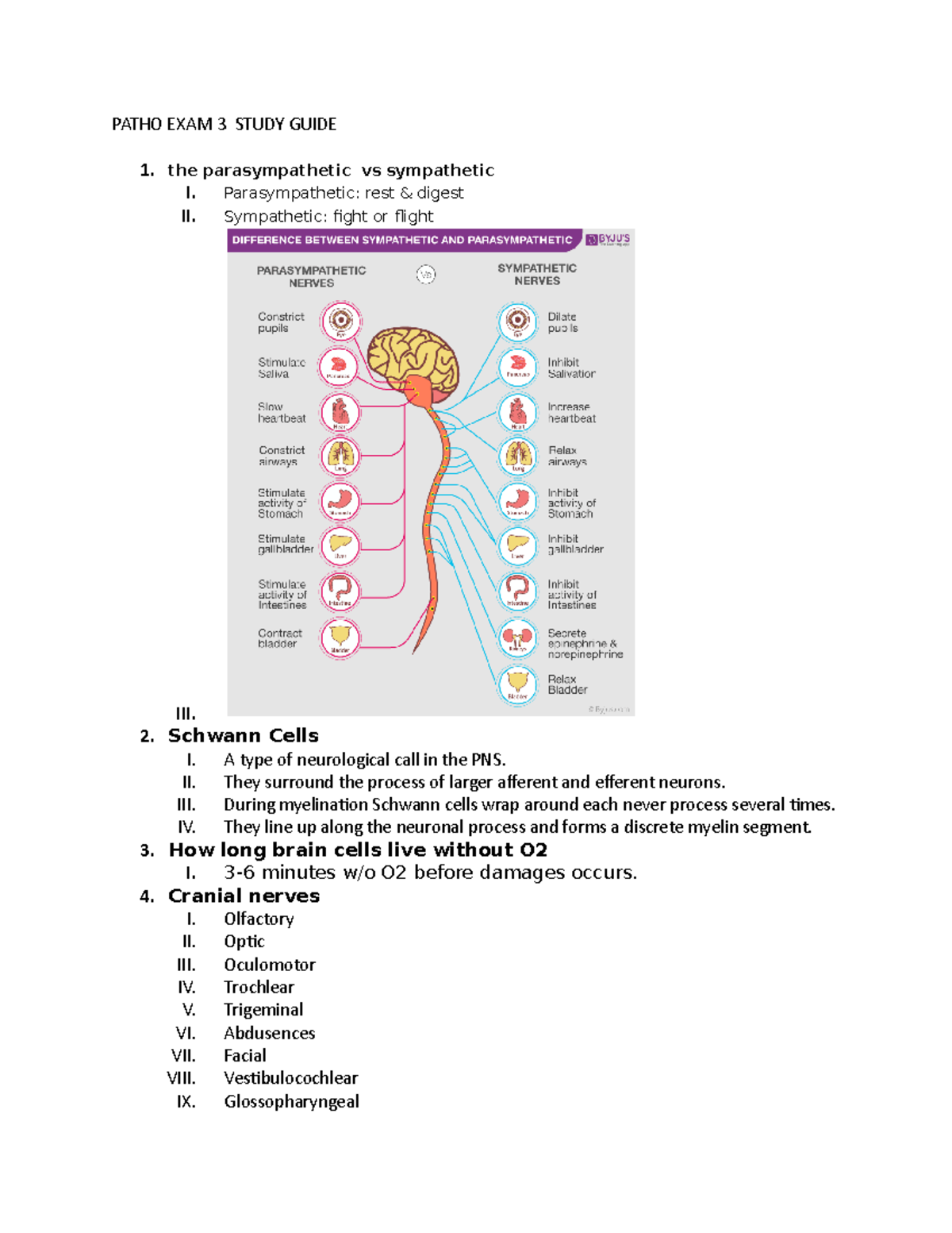 Patho EXAM 3 - Notes - PATHO EXAM 3 STUDY GUIDE the parasympathetic vs ...