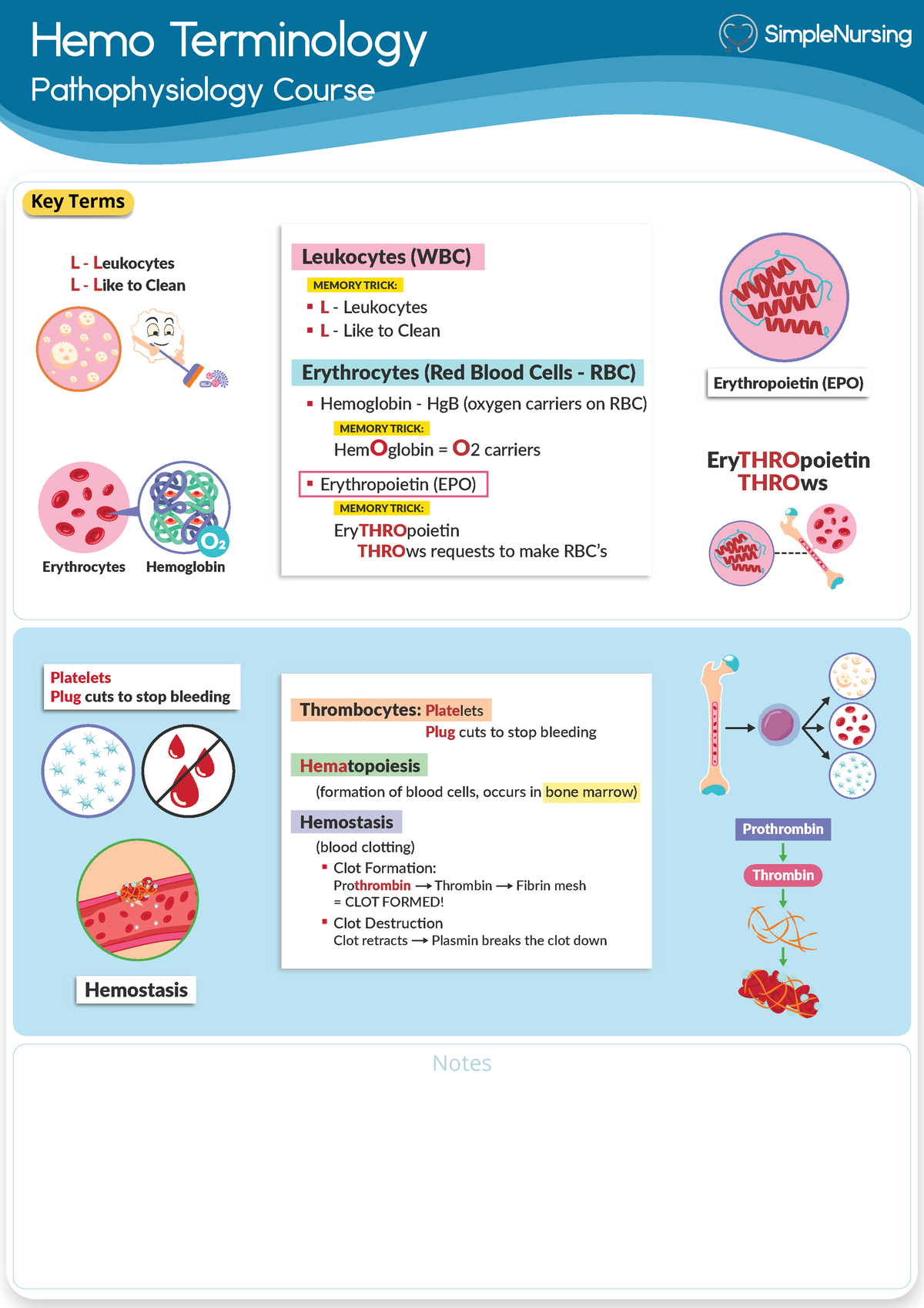 Hematologic Disorders - Hemo Terminology Pathophysiology Course Notes L ...