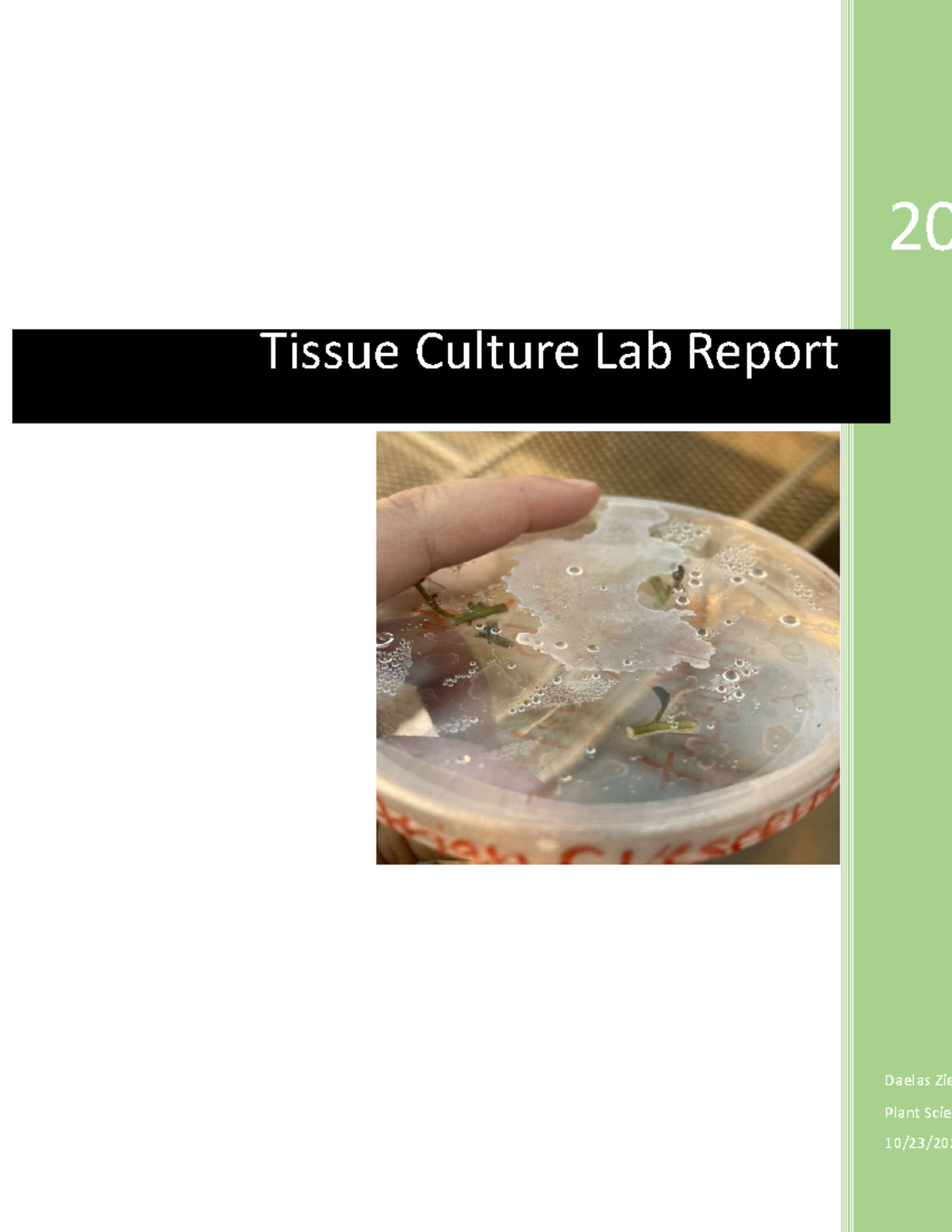 Tissue Culture Lab Report Final Draft 20 Daelas Zie Plant Scien 10/23