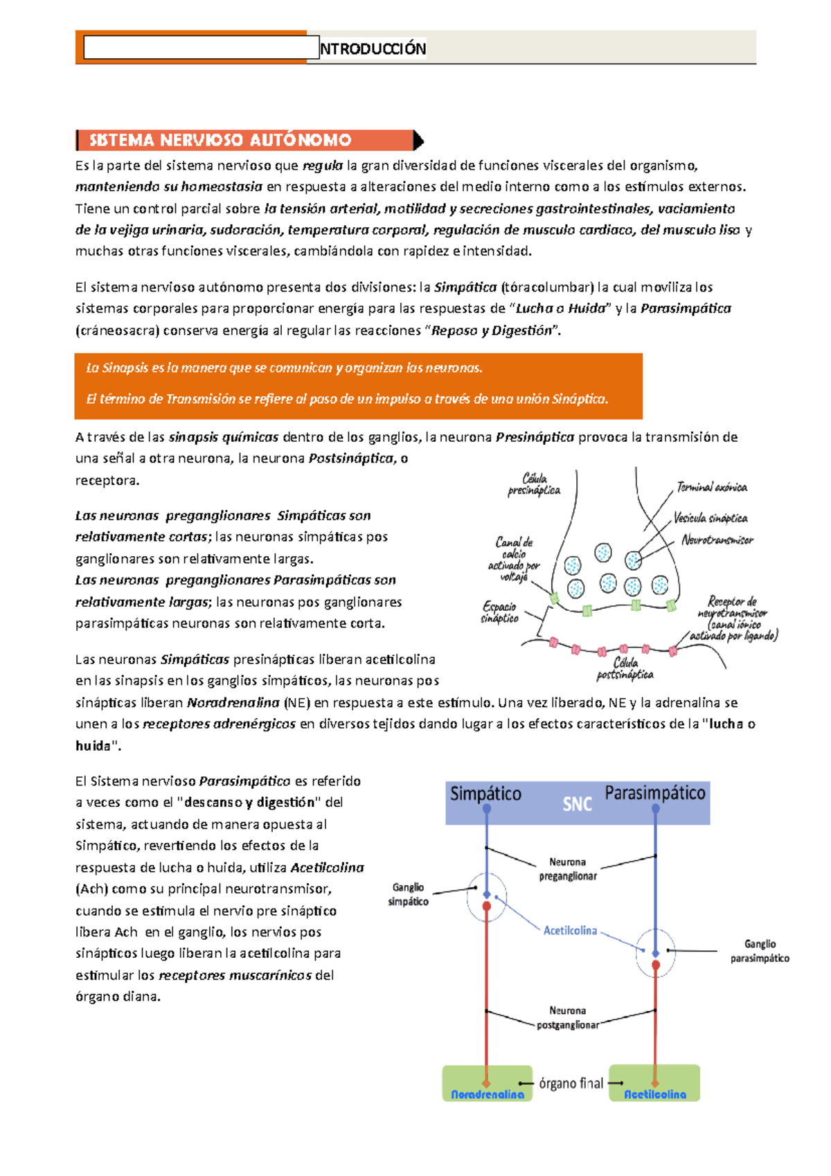 Apunte Farmacologia Sistema Nervioso Autonomo - Es La Parte Del Sistema ...