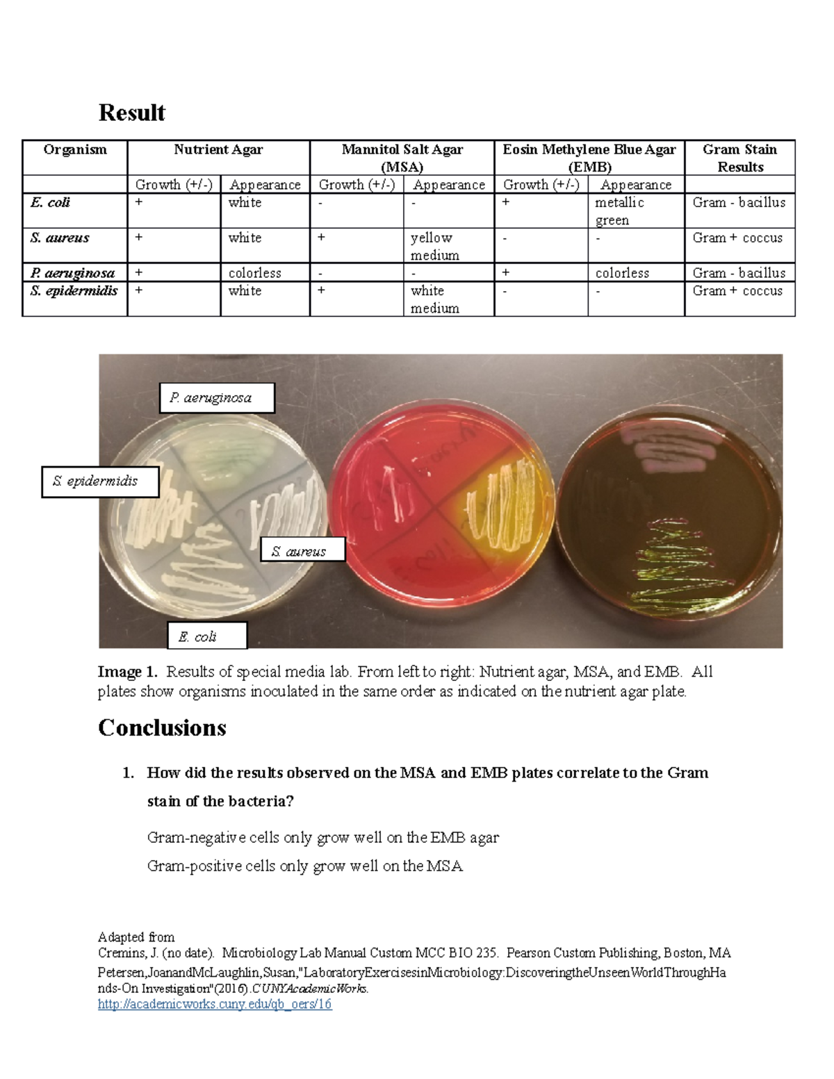 Special media lab combo - Lab 2 - Result Organism Nutrient Agar ...