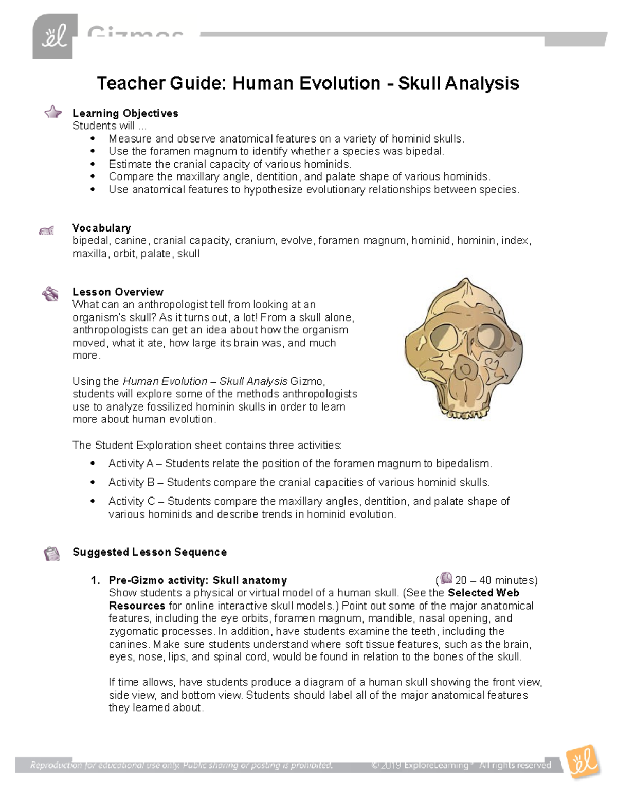 Human Evolution TG .. Measure and observe anatomical features on a